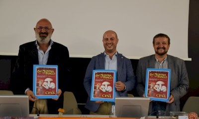 Ceva, torna la Mostra del Fungo: 