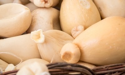 A Bra con Cheese 2025 per incontrare la gioventù che tutela i formaggi a latte crudo