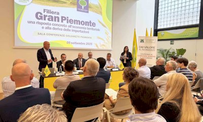 Grano tenero, Coldiretti Cuneo: “Aumentano le importazioni dall'estero, stop a quelle selvagge”