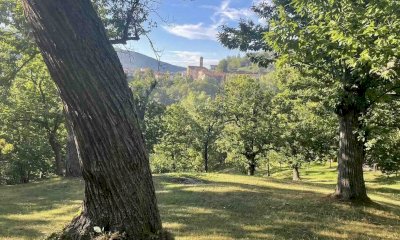 Castanicoltura, Cia Cuneo: 