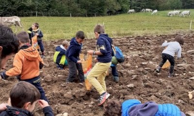 I più piccoli diventano contadini per un giorno con la festa della patata