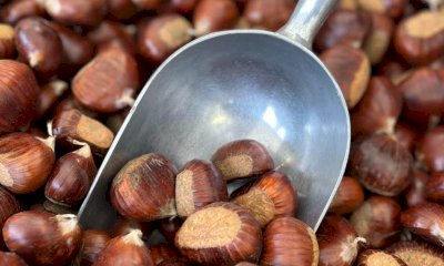 Chiusa Pesio, aperte le iscrizioni per la Festa del Re Marrone