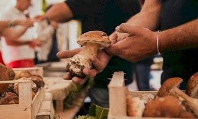  Il Corpo nazionale del Soccorso alpino e speleologico del Piemonte alla Mostra Nazionale del Fungo