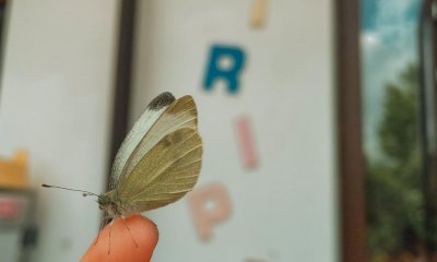 A Borgo San Dalmazzo nasce il 