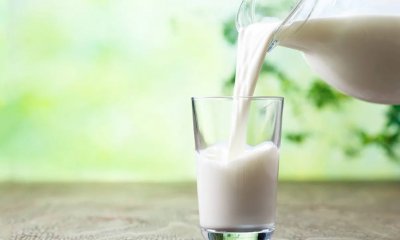 In Piemonte produzione di latte in crescita del 2,3 per cento nel 2024