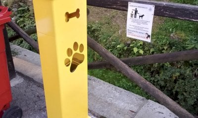 Brondello punta sul decoro urbano e sul rispetto degli spazi pubblici