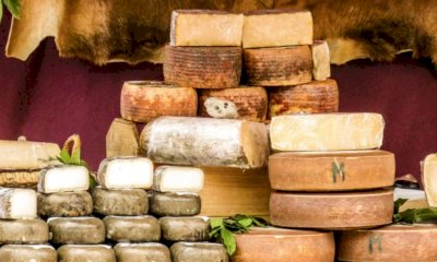 Bra, al via Cheese: per fare un formaggio a latte crudo… ci vuole un mondo intorno
