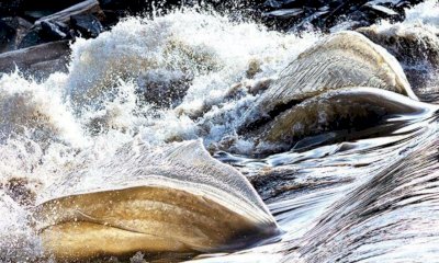 A Racconigi torna il Festival del Maira