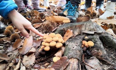 Cinquecento ore di educazione ambientale gratuita per le scuole del territorio del Parco del Monviso