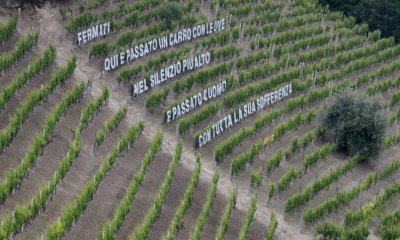 A Castiglione Tinella si celebra la poesia e la vendemmia
