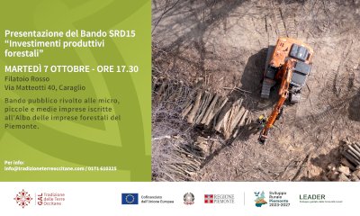 GAL Tradizione delle Terre Occitane: pubblicato il Bando SRD15 per le imprese forestali