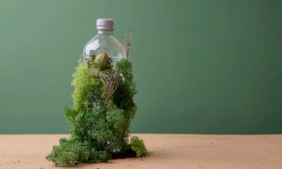 In programma a Cuneo il Summit della Sostenibilità e dell’Innovazione Territoriale