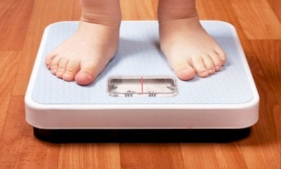 Coldiretti Cuneo: “Bene DDL obesità, ora misure concrete contro i cibi ultra-processati”