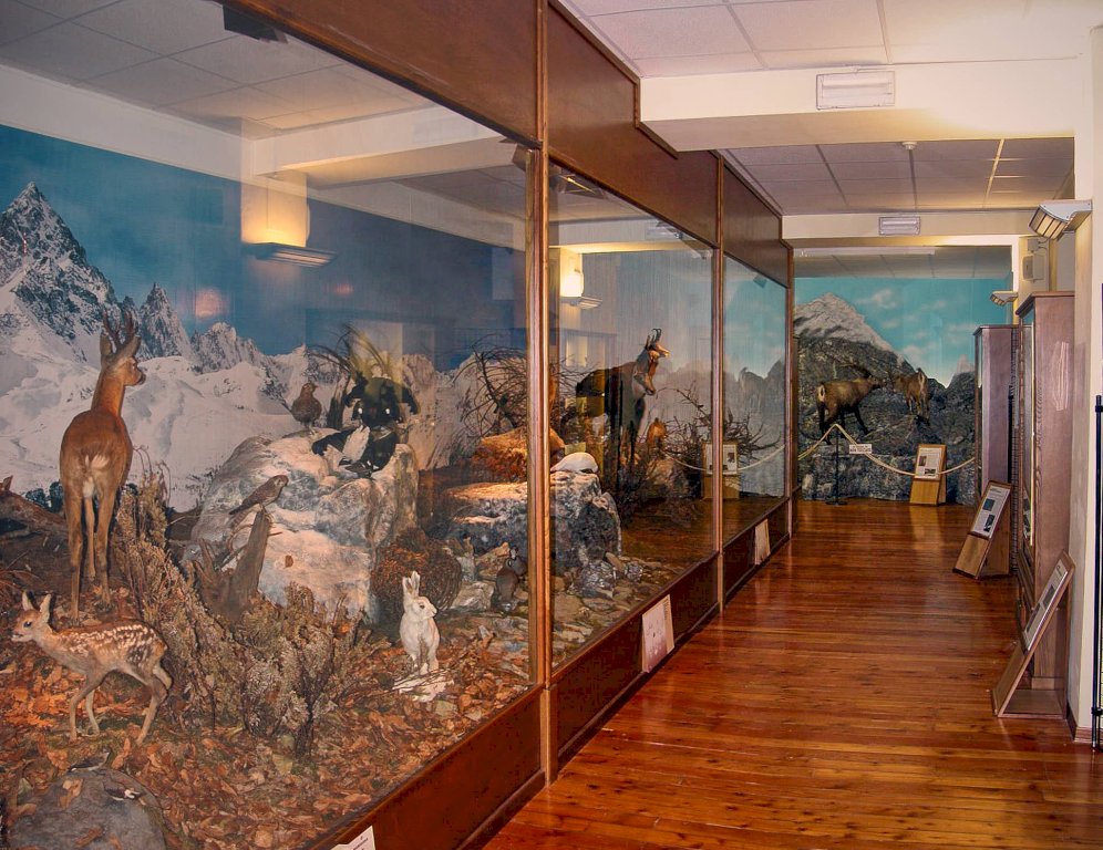 Revello, il Museo Naturalistico del Fiume Po aderisce alla Giornata Nazionale delle Famiglie al Museo