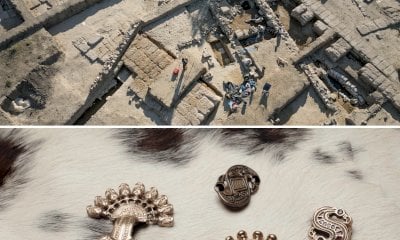 “Cuneo Archeofilm” 2025 chiude con il tempio di Artemide e un film fuori concorso sui Longobardi