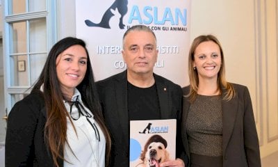 Presto disponibile una pubblicazione scientifica che analizza i risultati del progetto “Pet School”