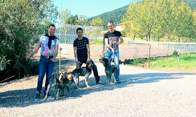 Ucciso con un colpo di fucile dal suo migliore amico, si attende la perizia sulla morte di Daniele Barolo