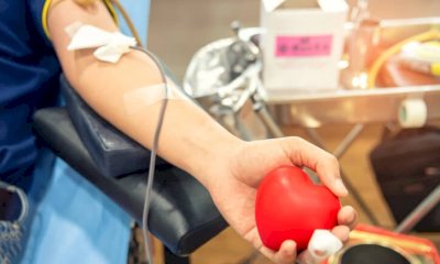 A Cuneo un incontro per confrontarsi sulla donazione di sangue e plasma