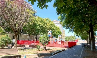 Toeletta il cane nei giardini di corso Dante, una lettrice: 