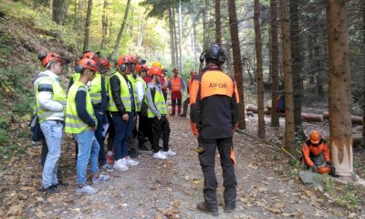 Un corso per operatori forestali nel Parco del Marguareis