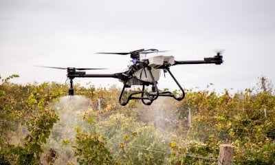 Ddl Semplificazioni, Coldiretti Cuneo: “Positivo il via libera ai droni in agricoltura”
