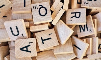 Al via un nutrito programma di attività offerte dalla Ludoteca La casa sull'albero di Savigliano