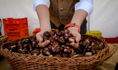 L’Unione Montana Valle Stura protagonista alla 26° Fiera Nazionale del Marrone