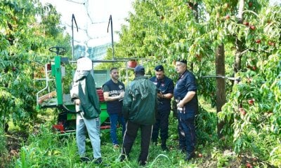Controlli dell’Ispettorato del Lavoro di Cuneo: irregolarità nel 69% delle aziende agricole ispezionate