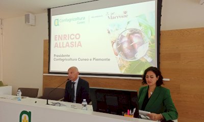 Lo studio di Confagricoltura sul futuro della castagna: