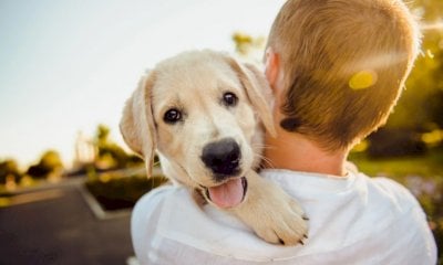 Prosegue il progetto “Tutela e Responsabilità - educazione per il benessere dei cani in Val Tanaro”
