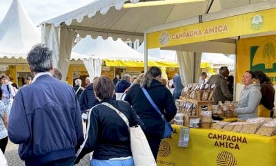 Coldiretti Cuneo porta alla Fiera del Marrone l'enoteca 