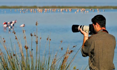 A Cuneo un corso di Birdwatching
