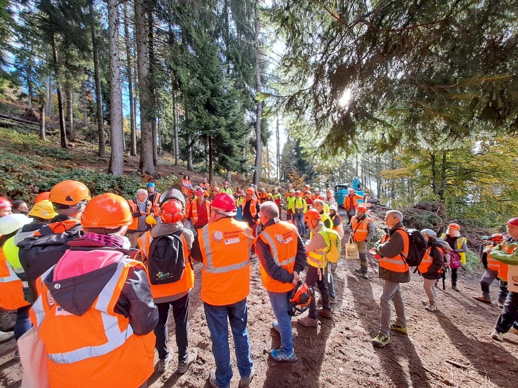 Se Roccabruna diventa un laboratorio per la manutenzione e la messa in sicurezza dei boschi