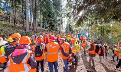 Se Roccabruna diventa un laboratorio per la manutenzione e la messa in sicurezza dei boschi