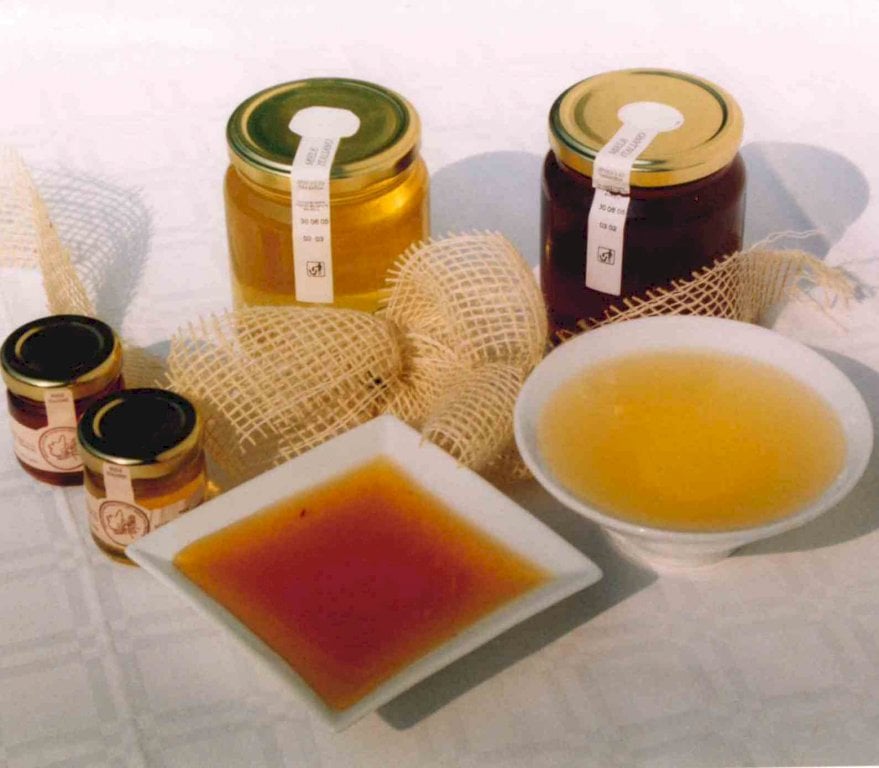 Sabato 25 ottobre laboratorio di “Degustazione Mieli” a Macra