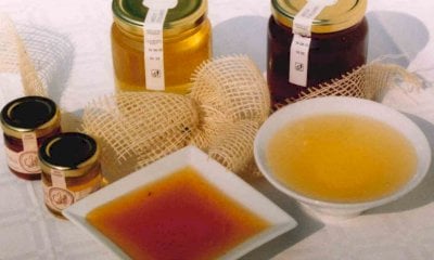 Sabato 25 ottobre laboratorio di “Degustazione Mieli” a Macra