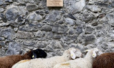 A Vinadio ospita la “Fièro di Sant” e la Mostra Ovina di razza Sambucana