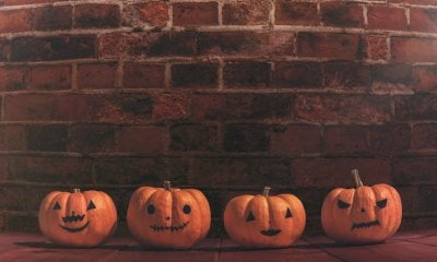 Mistero, magia e solidarietà: a Melle torna l’“Halloween Party” della Croce Rossa