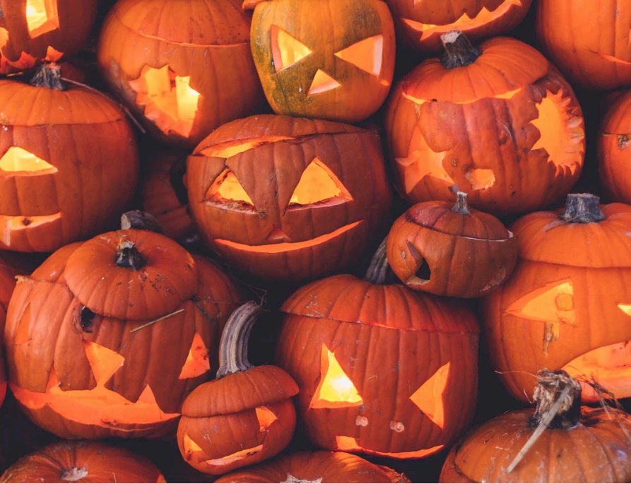 Ad Halloween giocattoli in fuga dal museo di Bra