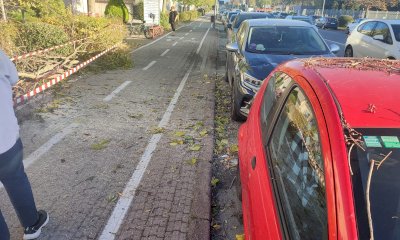 Cuneo, il vento abbatte un albero che cade sulle auto parcheggiate