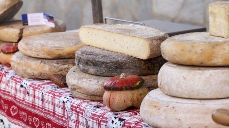 Savigliano torna capitale del formaggio con il Festival dei Formaggi Piemontesi