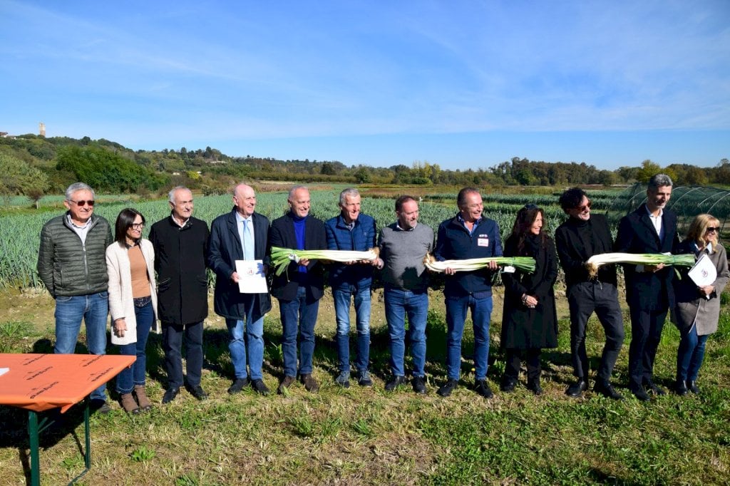 A Cervere è tutto pronto per la Fiera del Porro