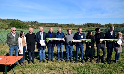 A Cervere è tutto pronto per la Fiera del Porro