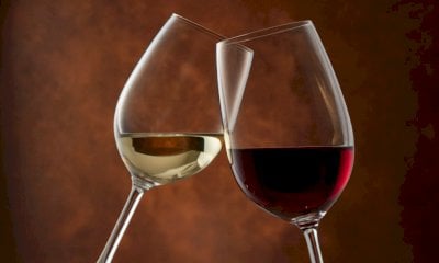 A Saluzzo torna l’evento che celebra i vini eroici, autoctoni o prodotti in zone marginali