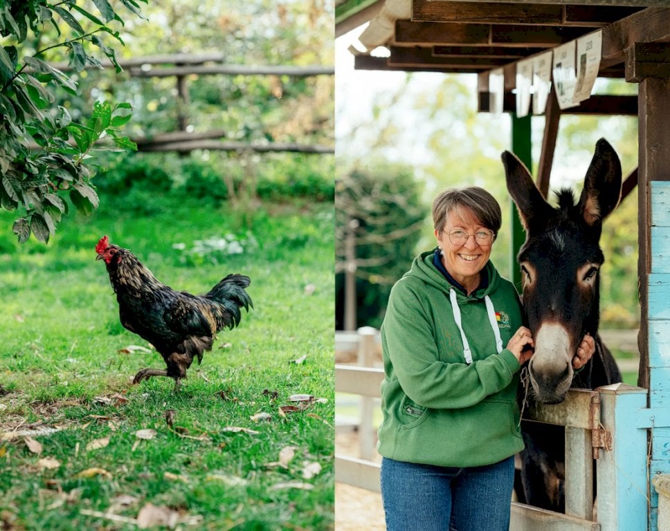 “Gemme”: si presenta a Venezia il podcast degli agricoltori piemontesi