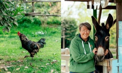 “Gemme”: si presenta a Venezia il podcast degli agricoltori piemontesi