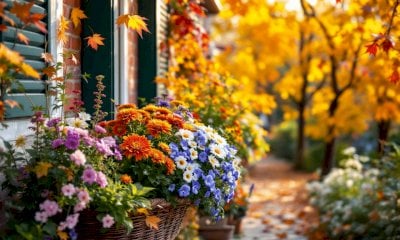 Asproflor lancia “Provincia Fiorita” con due giorni di eventi ad Alba e Monforte