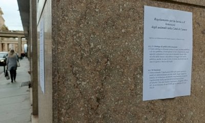 Sui muri del centro di Cuneo