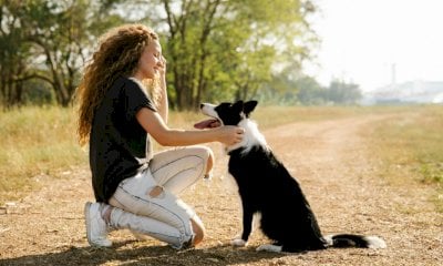 A Bra un percorso formativo per promuovere il benessere dei cani