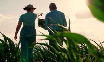 Legge di Bilancio 2026, Cia Cuneo: “Chiediamo l’intervento dei parlamentari del territorio”